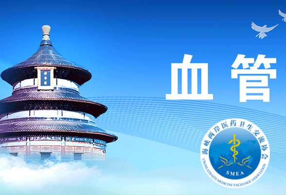 海峡两岸医药卫生交流协会-血管外科分会_天津网站建设网页设计案例